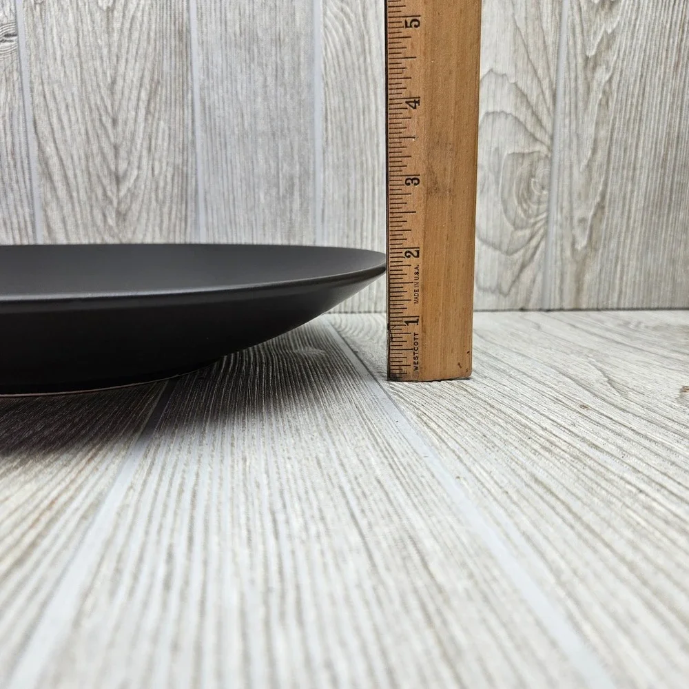 Furio Home Worldview Onyx Thailand Matte Black Large Dinner Plates Set of 2